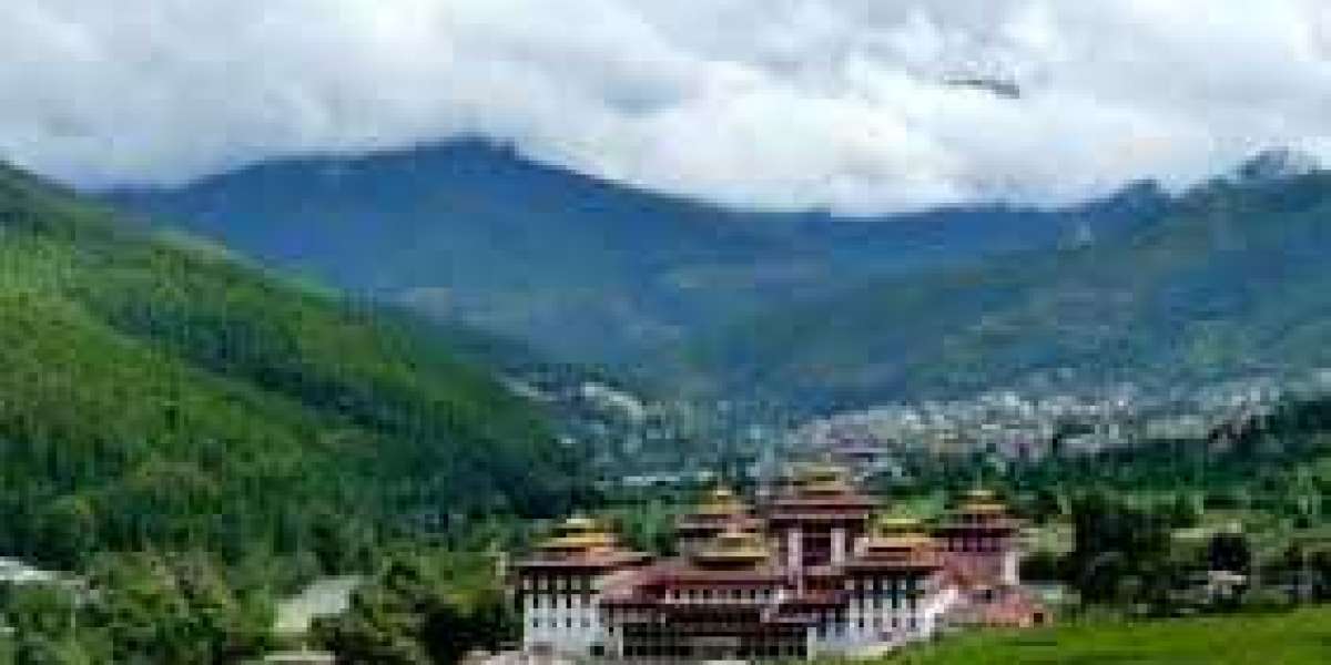 Bhutan visa application online