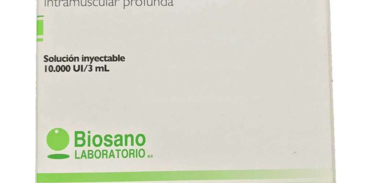 Qué es la ruda y para qué sirve: las propiedades de esta planta medicinal, sus contraindicaciones y cómo prepararla