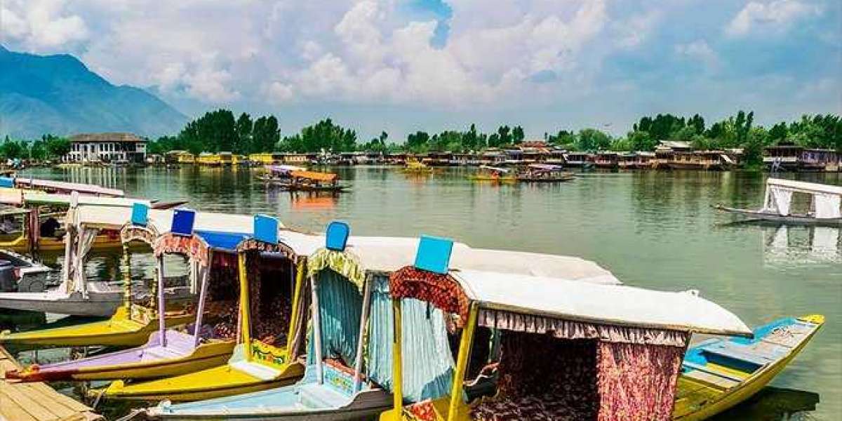 how to travel to Kashmir with family