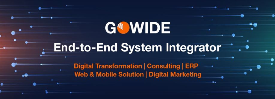 gowide solutions Cover Image