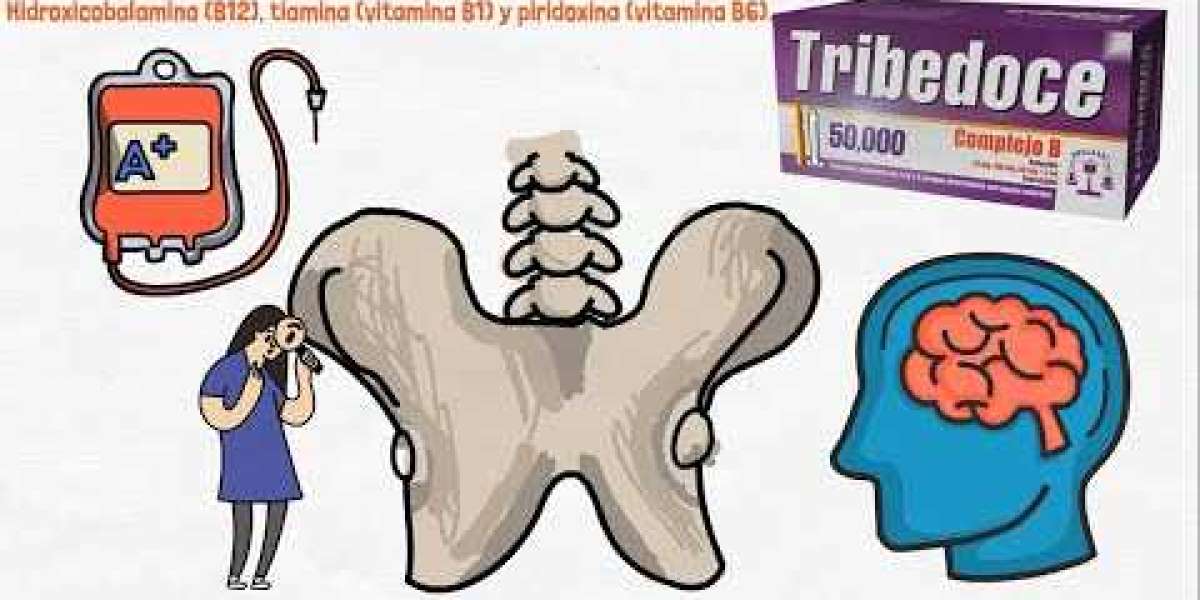 Té de romero: para qué sirve, contraindicaciones y cómo se hace