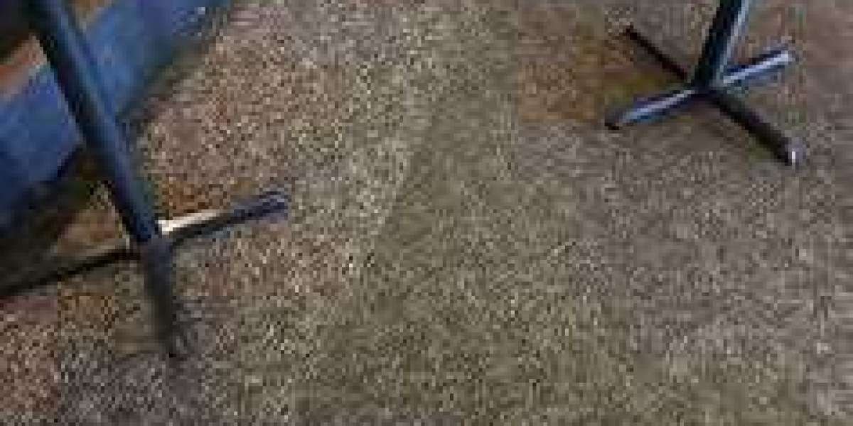 Professional Carpet Cleaning: The Key to a Stunning Home Aesthetic