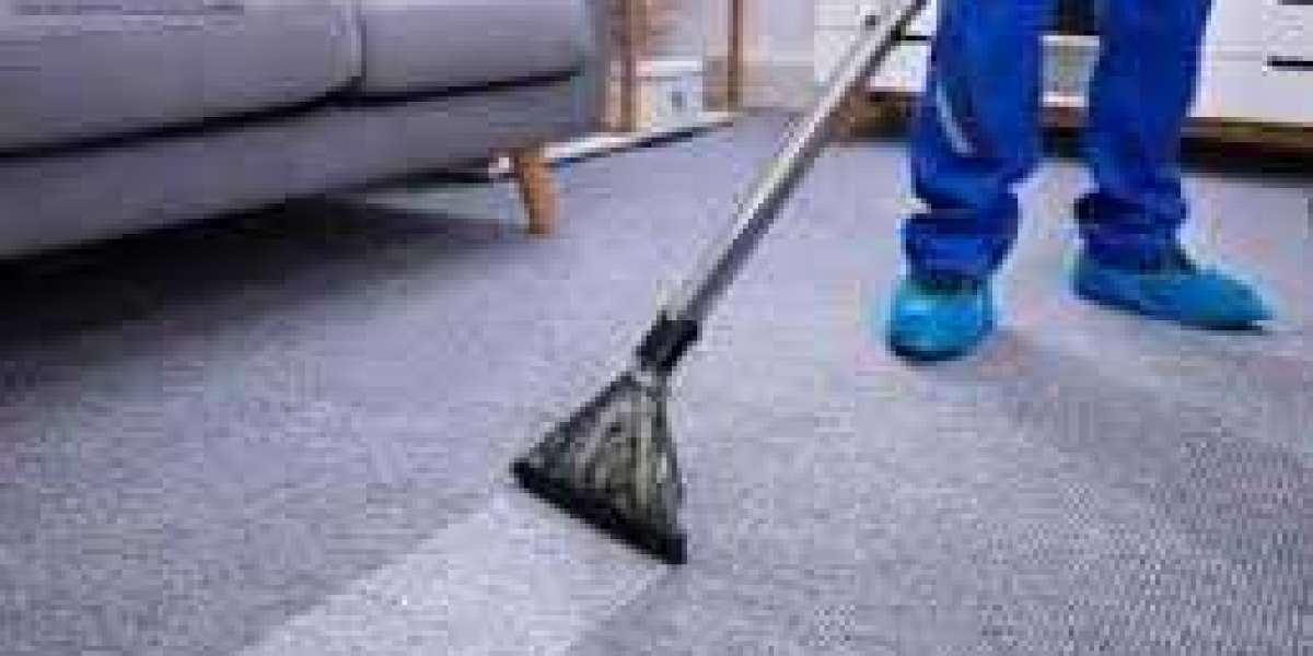 The Undeniable Benefits of Professional Carpet Cleaning for Every Home