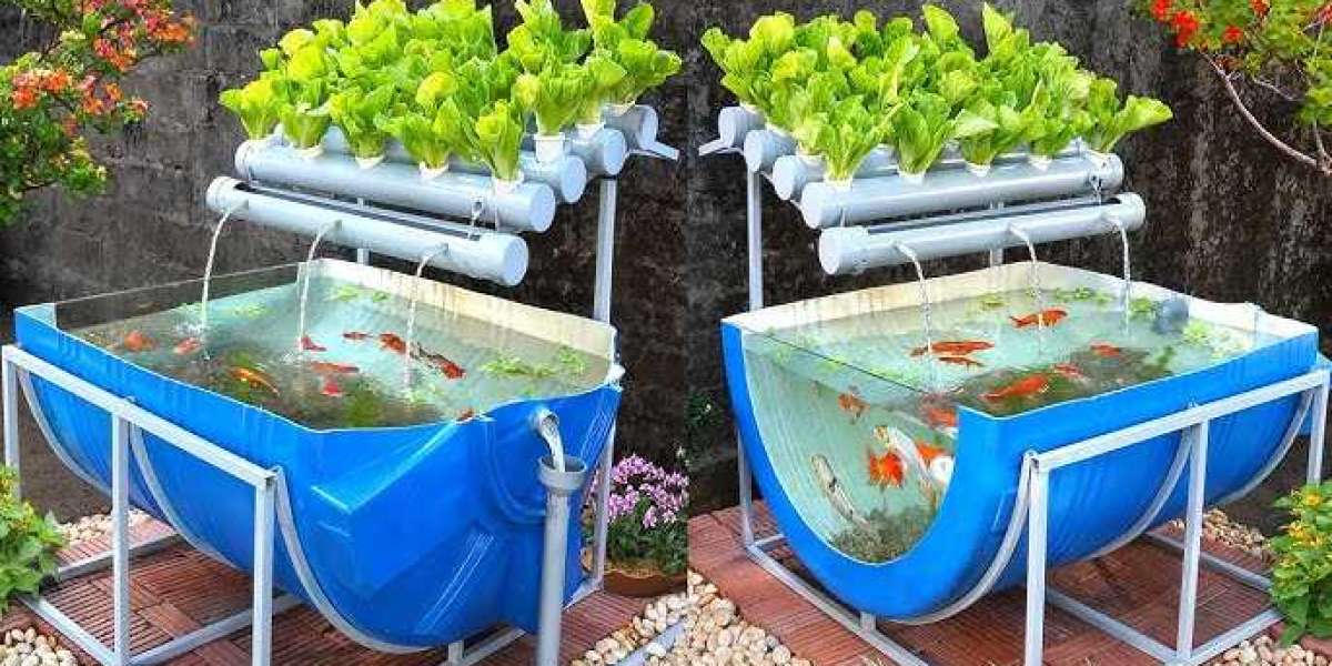 Aquaponics Market Sees Rising Demand as Sustainable Farming Gains Global Traction