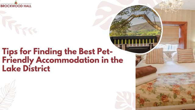 Tips for Finding the Best Pet-Friendly Accommodation in the Lake District.pdf