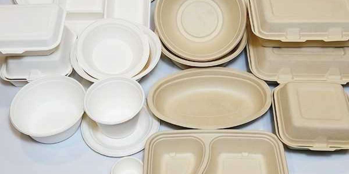 How to Create Eco-Friendly Products from Sugarcane Bagasse