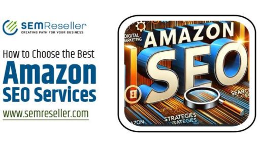 How to Choose the Best Amazon SEO Services? - Trophy Post