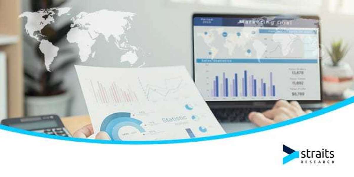 Middle East and Africa Accessibility Testing Market Size, Share and Growth Graph by 2032