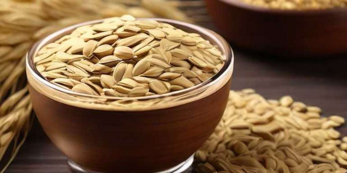 Barley Malt Extract Manufacturing Plant Project Report 2024: Industry Trends, Unit Setup and Machinery