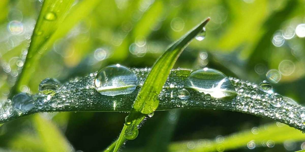 10 Steps to Mastering a Dew Point Calculator