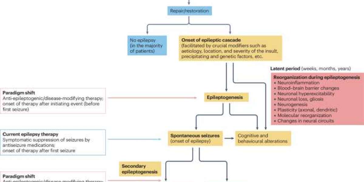 Seizures Drug Pipeline Analysis Report 2024