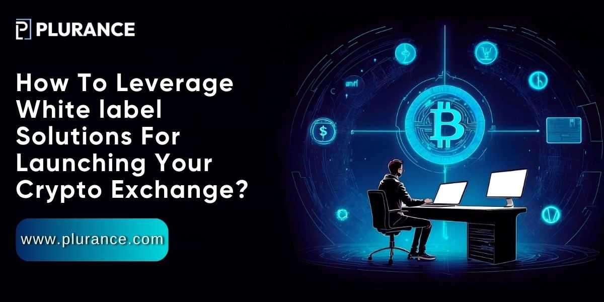 How to leverage crypto exchange solutions to establish your crypto exchange?