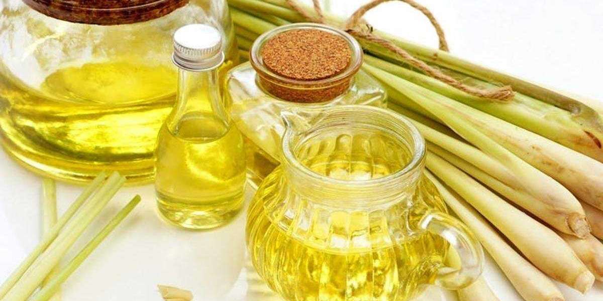 Lemongrass Oil Market Share Grows as Demand for Natural Wellness Products Increases