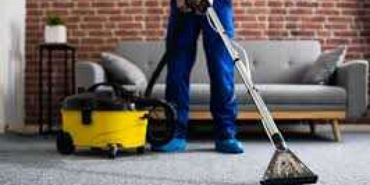 The Connection Between Carpet Cleaning and a Comfortable Home