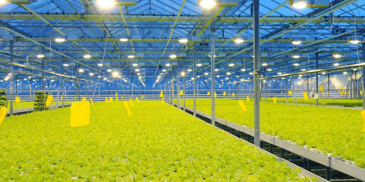 Horticulture LED Lighting Market Growth Accelerates with Increasing Demand for Indoor Farming