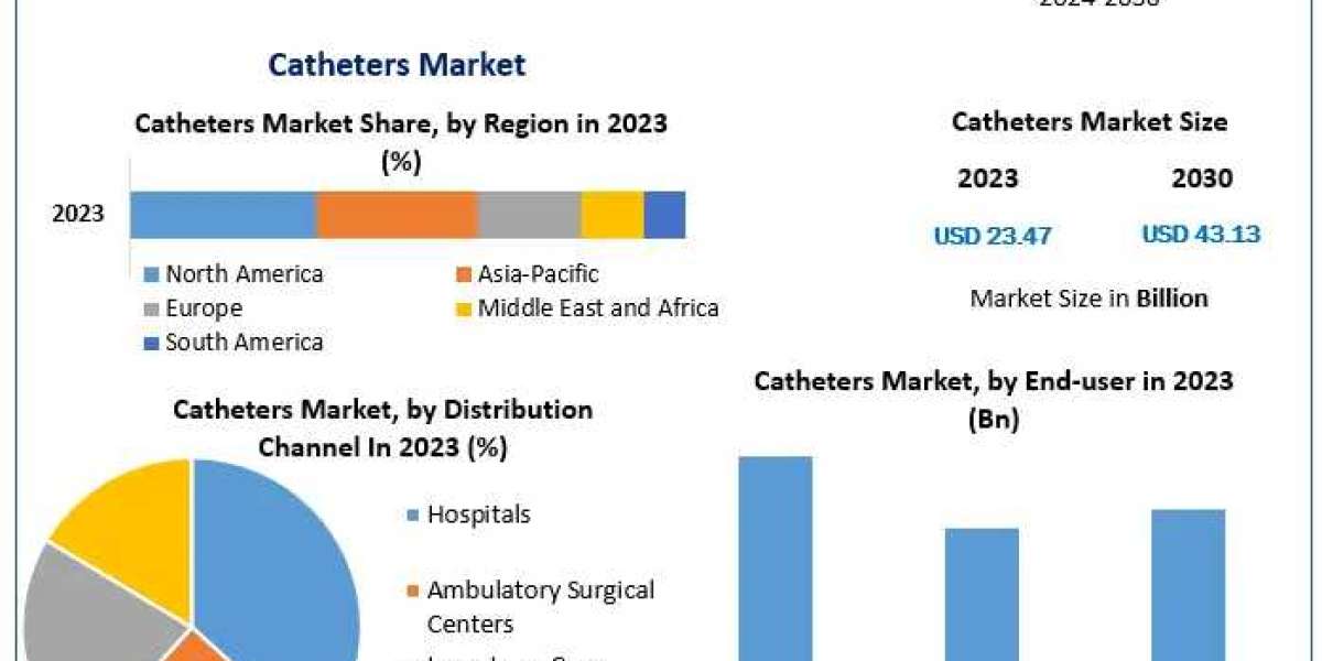 Driving Healthcare Innovations: Catheters Market to Expand at 9.08% CAGR