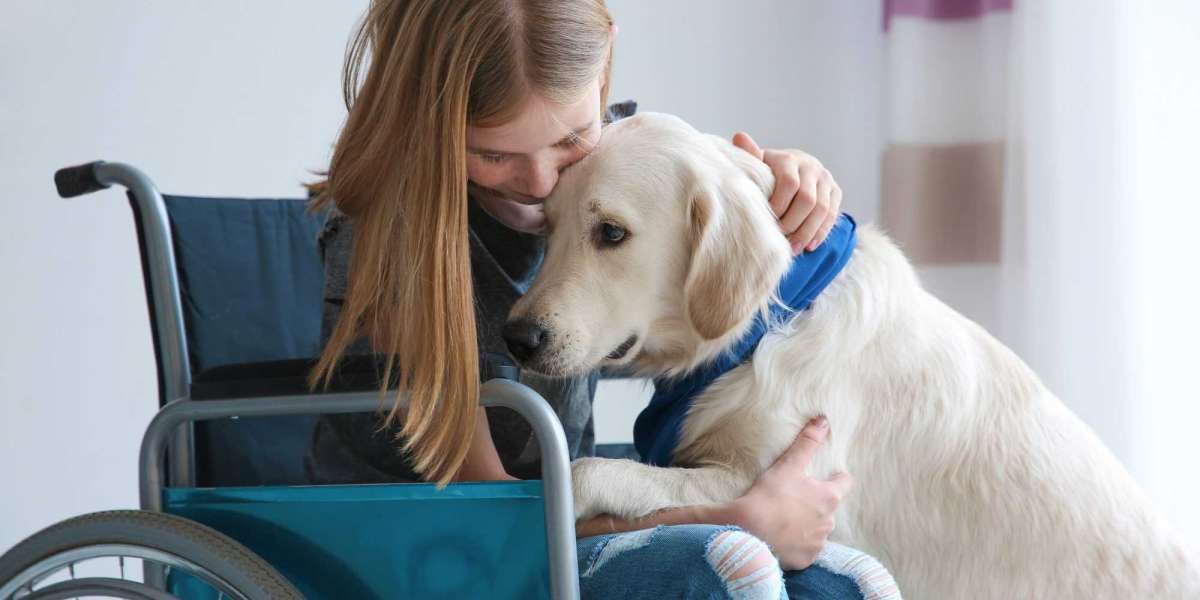 The Process of Getting an Emotional Support Animal Letter in California