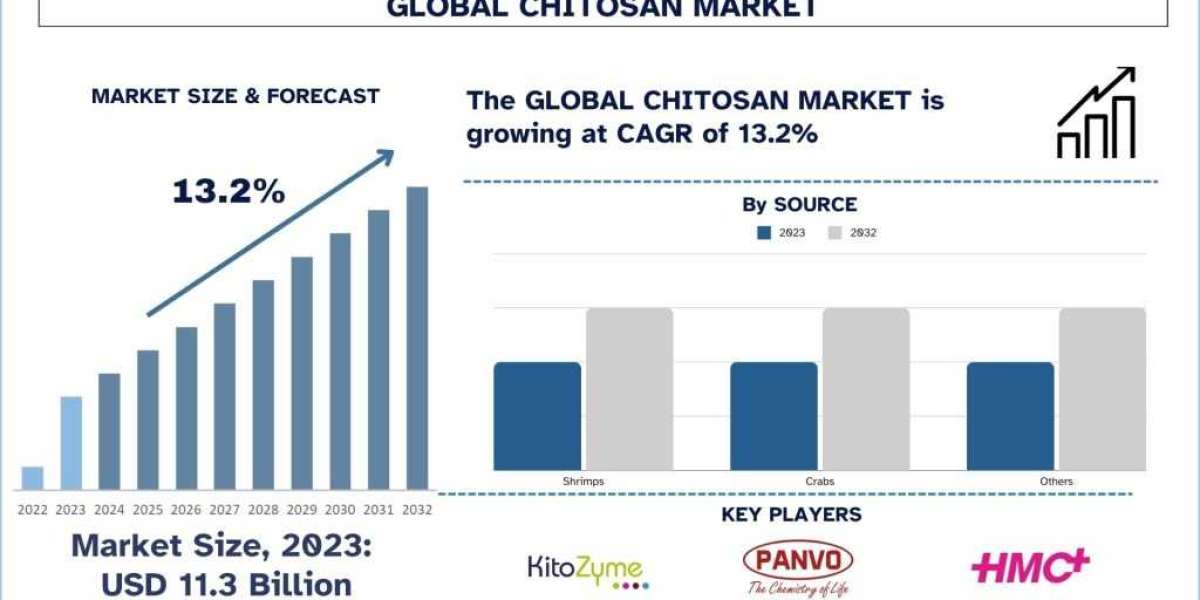 Chitosan Market Size, Share, Analysis & Forecast