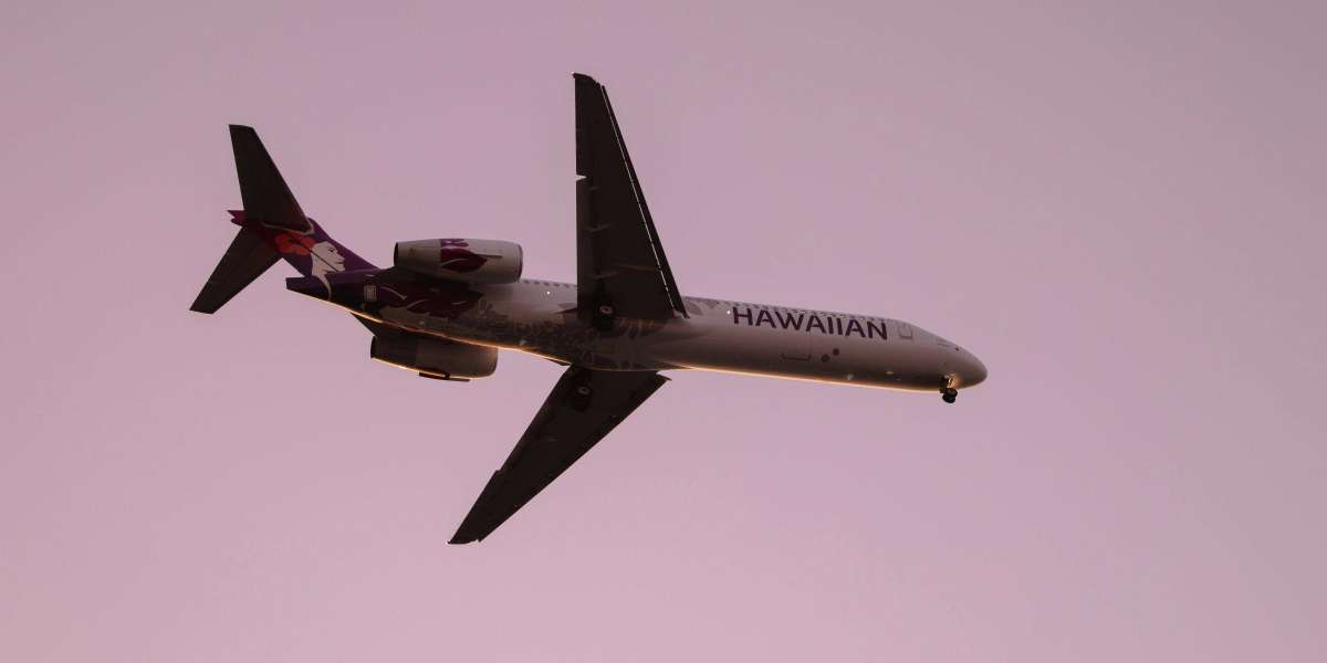 The Guide to Flying Hawaiian Airlines With Pets