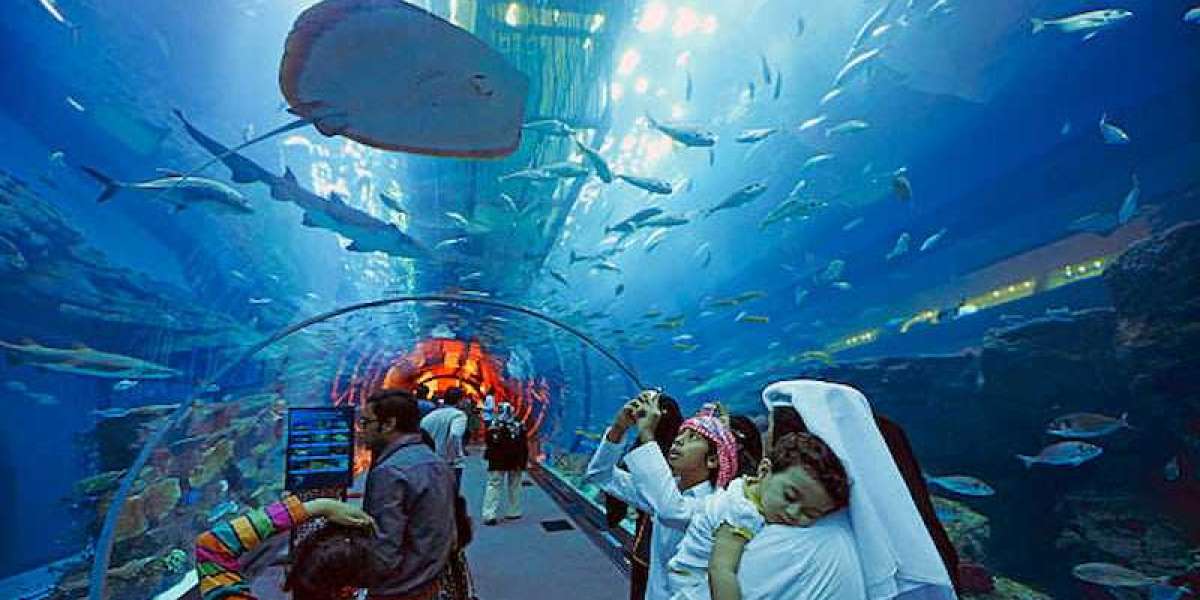 Explore the Dubai Mall and its Incredible Aquarium