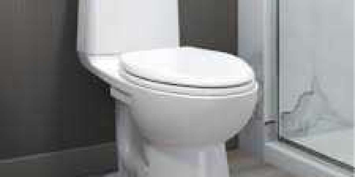 6 Eco-Friendly Water Closet Options: A Sustainable Solution for Modern Sanitation