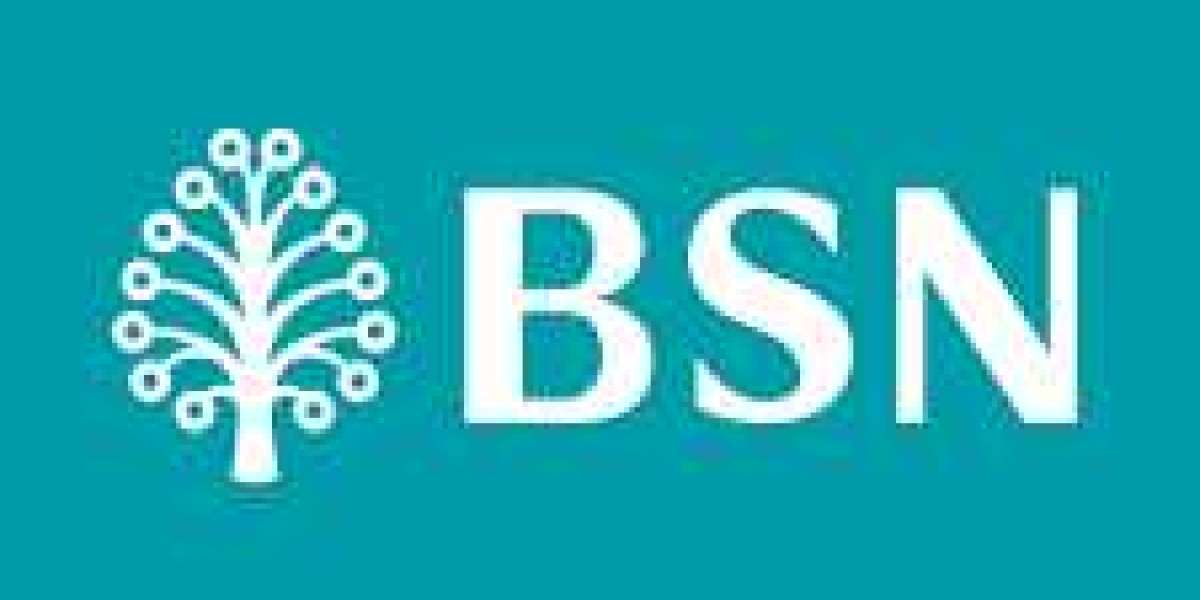 Healthcare Policy and Nursing: BSN’s Impact