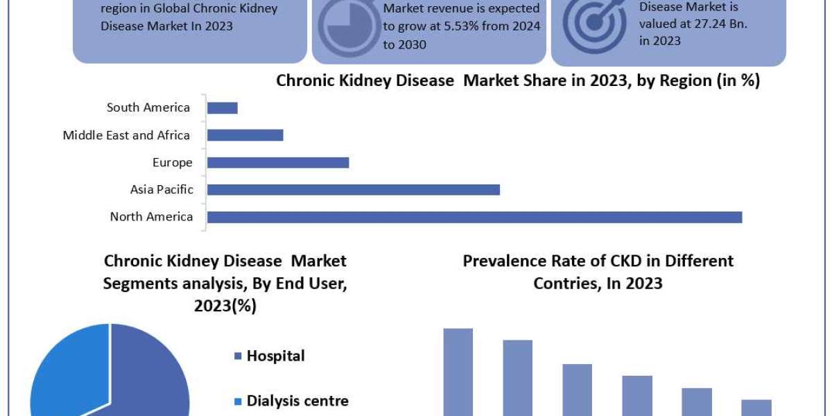 Chronic Kidney Disease Market 	Statistical Snapshot: Size, Share, Revenue, and Worth Statistics | 2024-2030