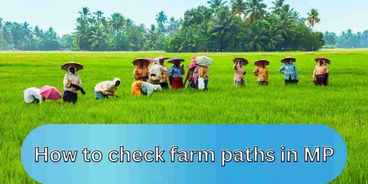 How to check farm paths in MP