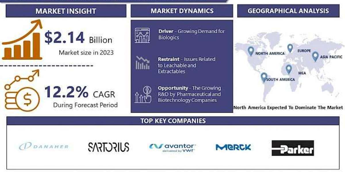 Bioprocess Containers Market Growth Drivers and Challenges (2024–2032)