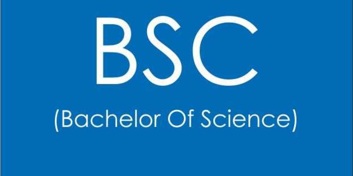 Why BSc is the Ideal Foundation for Postgraduate Studies