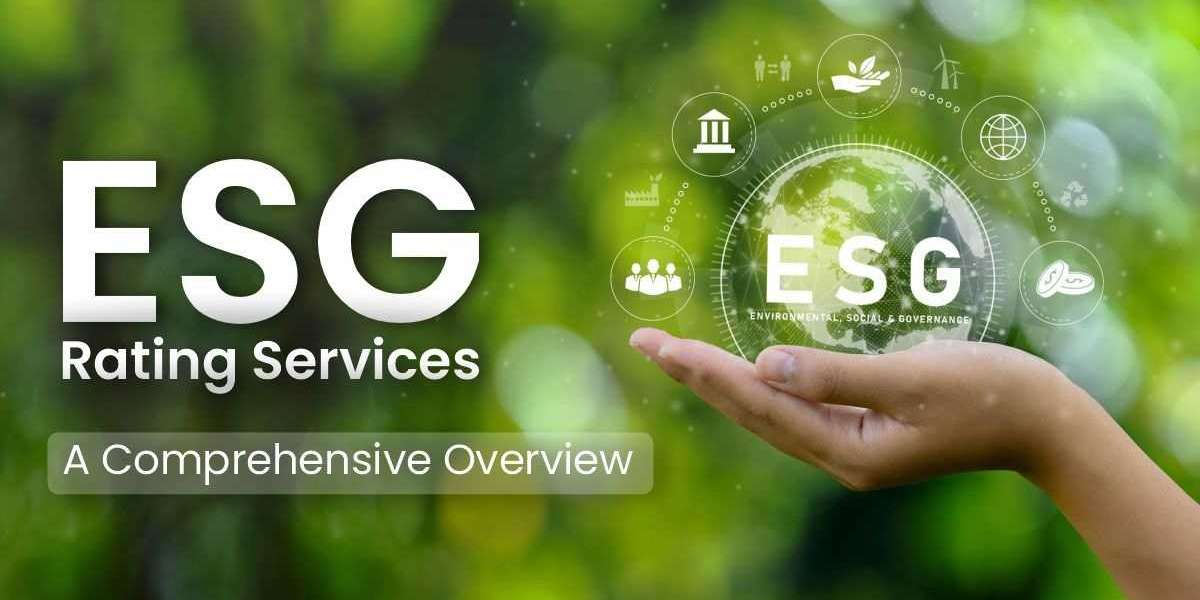 ESG Ratings: An Overview