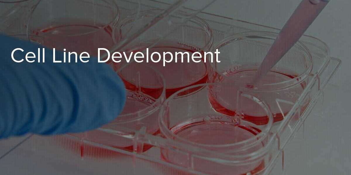 Global Biotech Boom Boosts Cell Line Development Market Demand in 2024