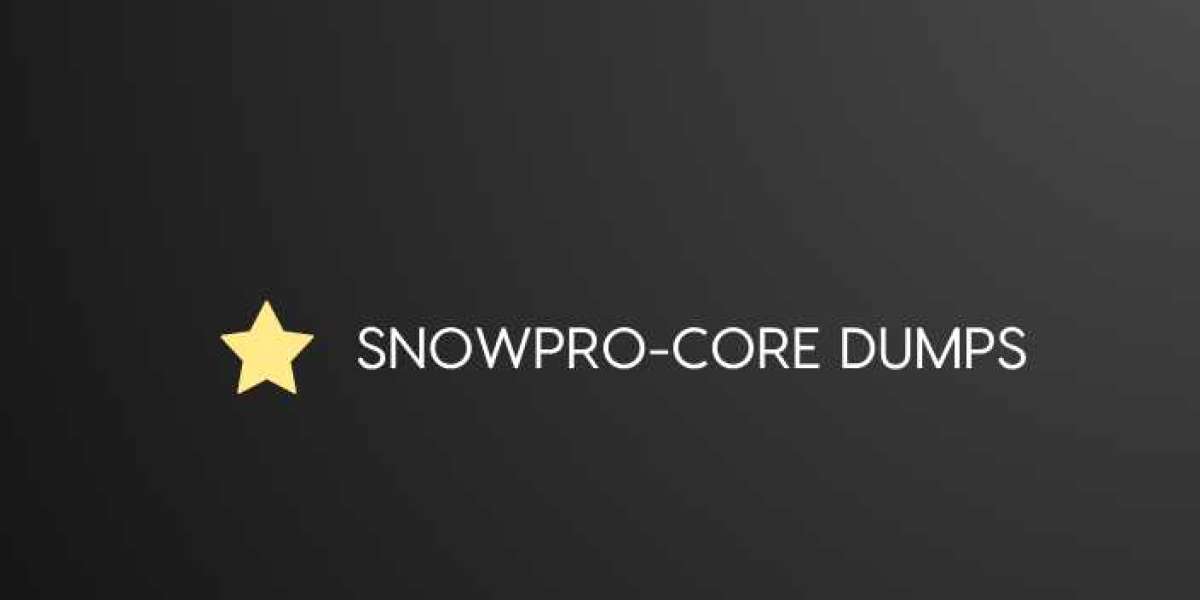 How to Stay Organized Using SnowPro-Core Exam Dumps