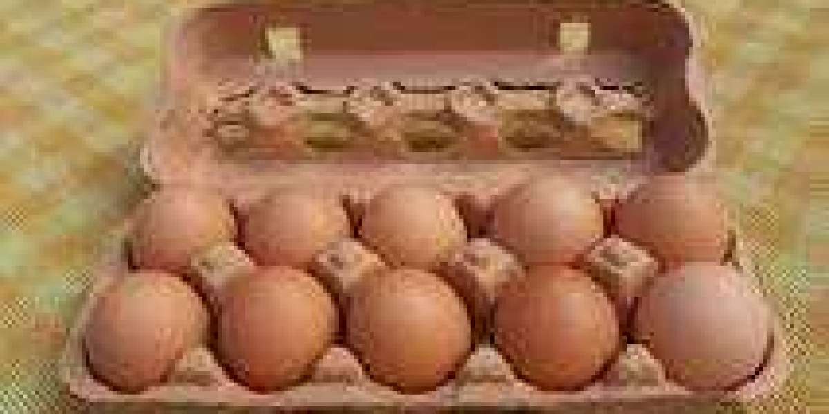 Everything You Need to Know About Egg Cartons