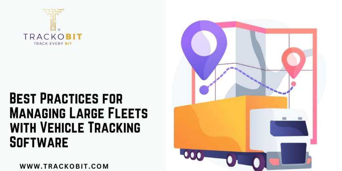 Best Practices for Managing Large Fleets with Vehicle Tracking Software