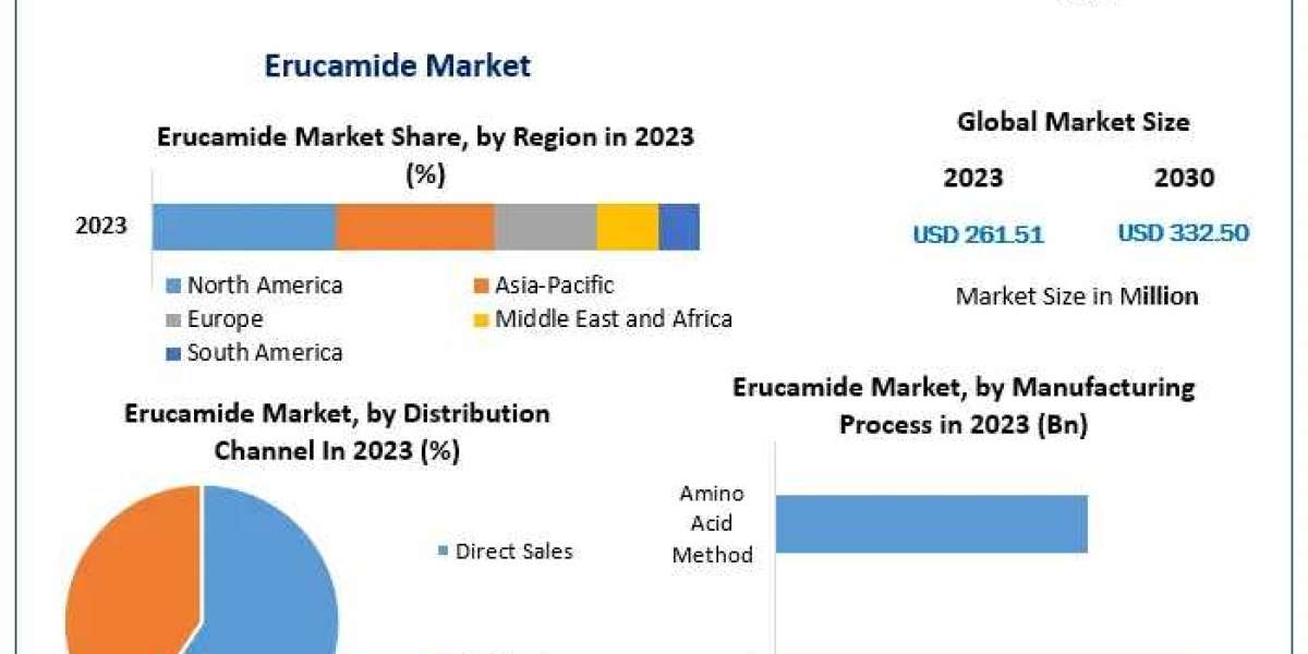 Erucamide Market Trends and Growth Forecast for 2024-2030