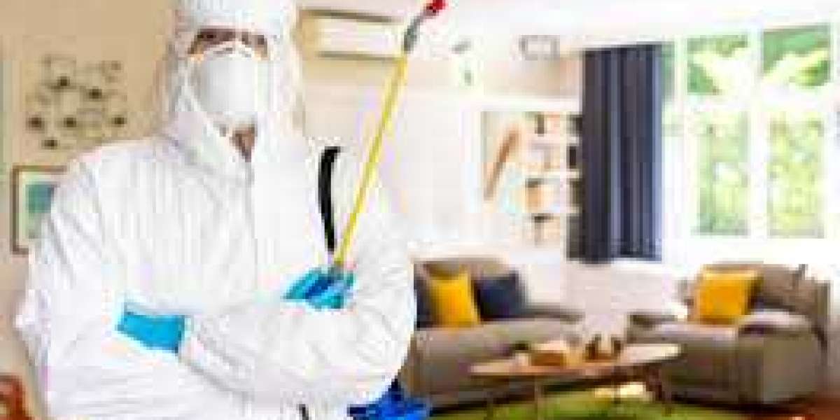 How to Start a Career in Pest Control: Becoming a Pest Exterminator