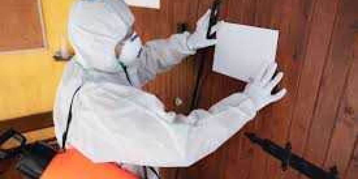 Your Complete Guide to Pest Control Training in NYC