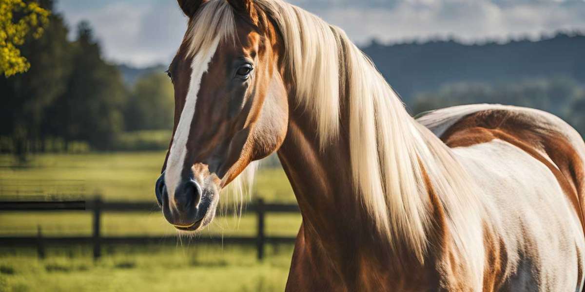 The Westphalian Horse Breed: A Comprehensive Guide