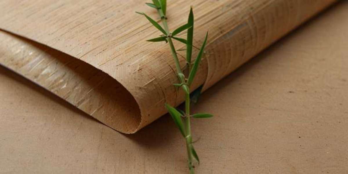 Bamboo Paper Manufacturing Plant Project Report 2024: Industry Trends and Unit Setup