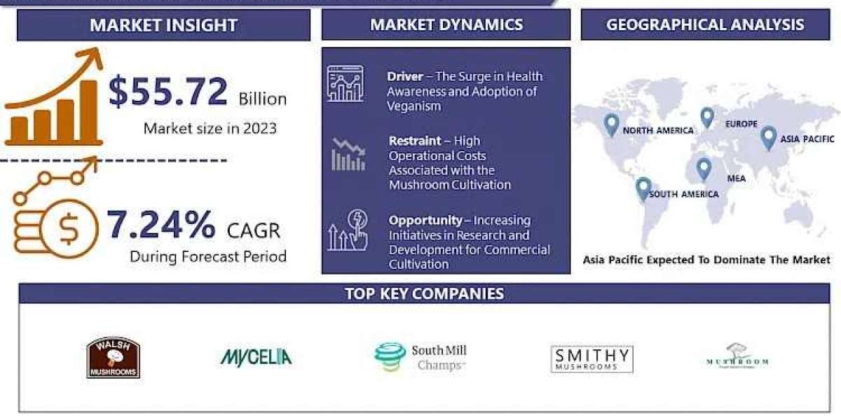 Mushroom Cultivation Market: A Detailed Analysis Of Latest Market Trend With Growth Projections Through 2032| Growing at