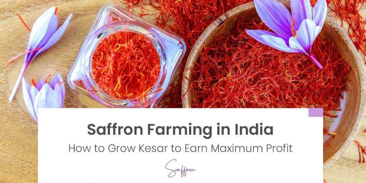 Methods of Saffron Cultivation in India