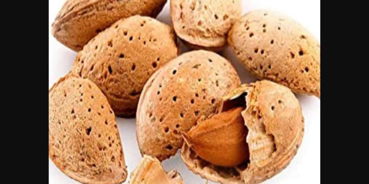 The Walnut: A Nutrient-Packed Superfood with Numerous Benefits