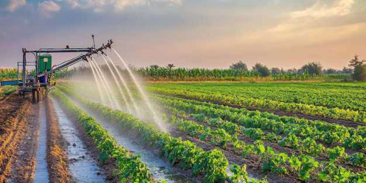 The Ultimate Guide to Effective Irrigation in Melbourne