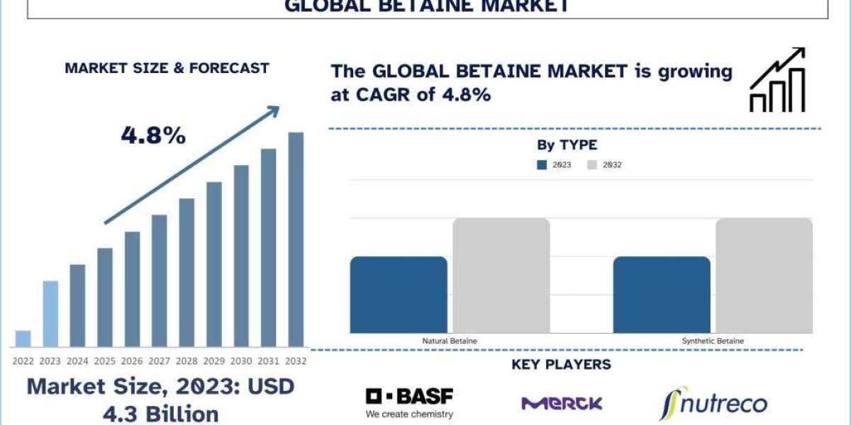 Betaine Market Seen Soaring 4.8% Growth to Reach USD 6.6 Billion by 2032