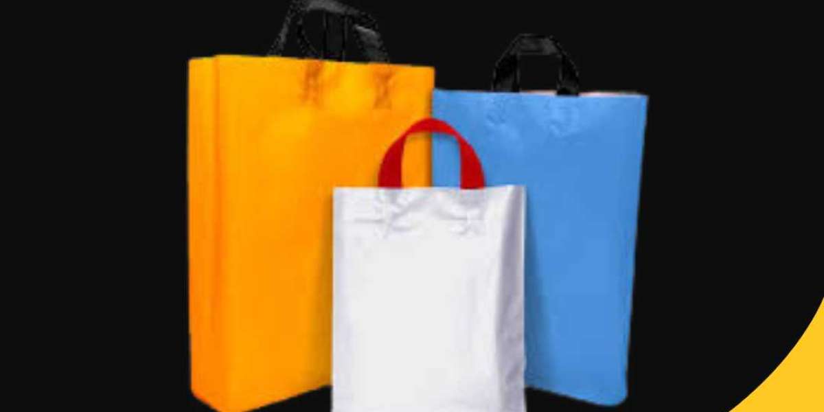 Stylish Plastic Carry Bags for Retail Stores and Customer Satisfaction