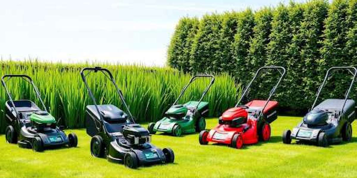 2025’s Best Lawn Mowers for a Perfectly Manicured Yard