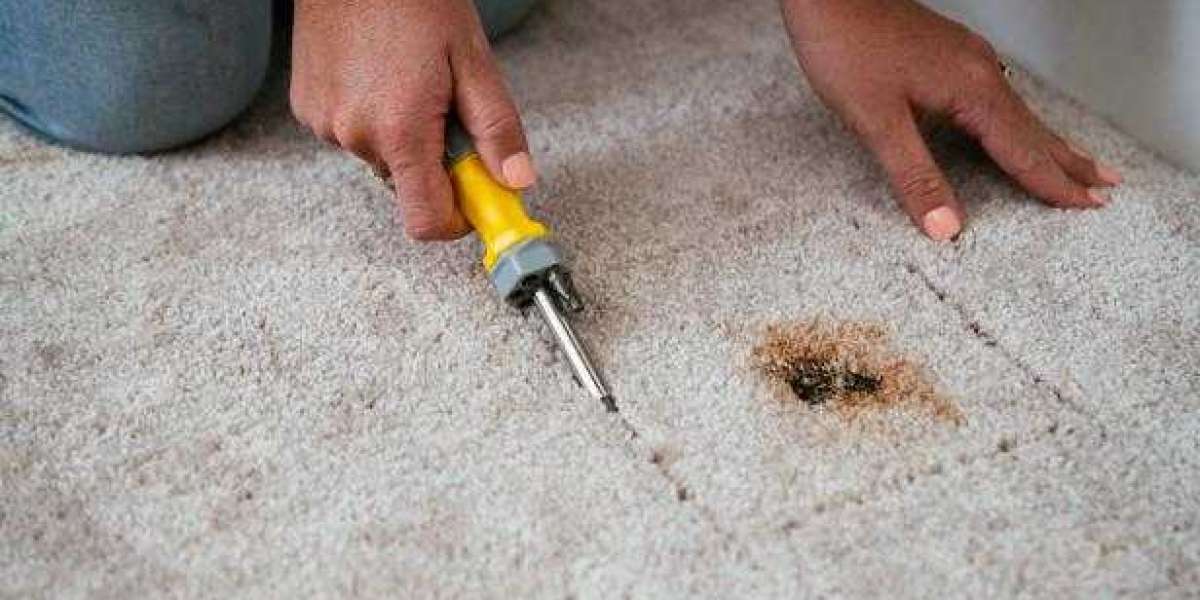 Carpet Repair services Tesuque, NM