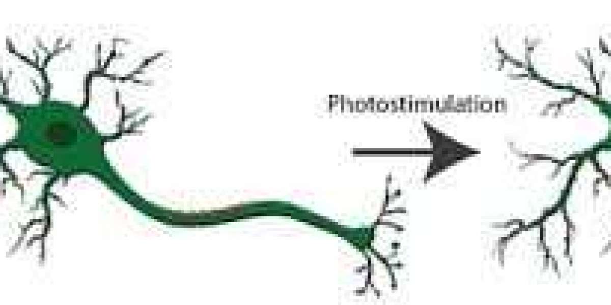 Optogenetics: Transforming Neuroscience with Light