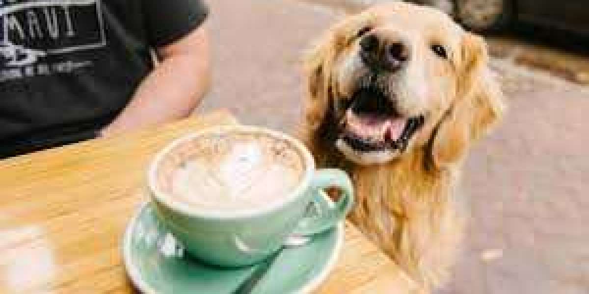 Dog Friendly Restaurant in Savannah: Dining Out with Your Furry Friend